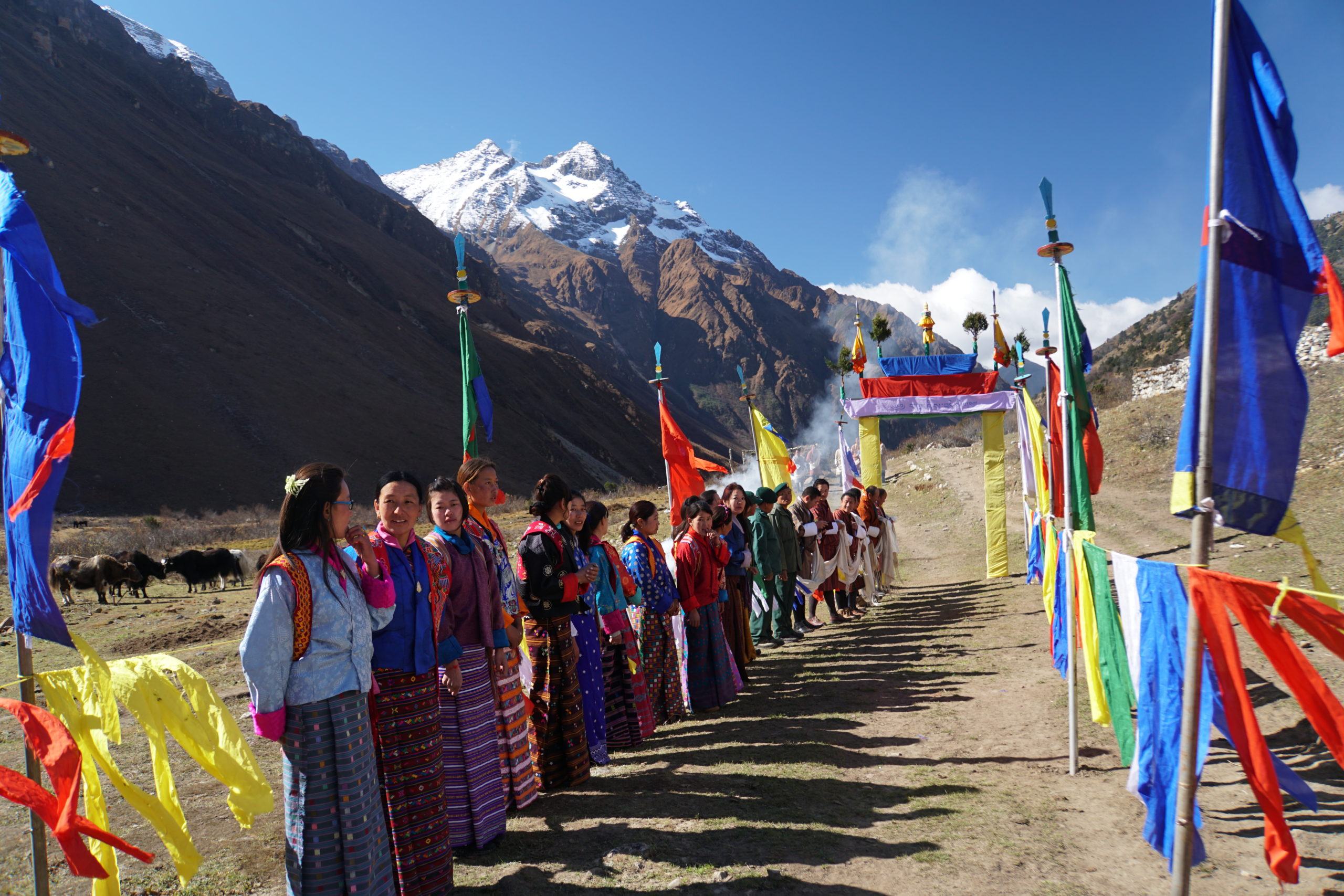 Introducing Gangzi The Snow Leopard - Bhutan Foundation