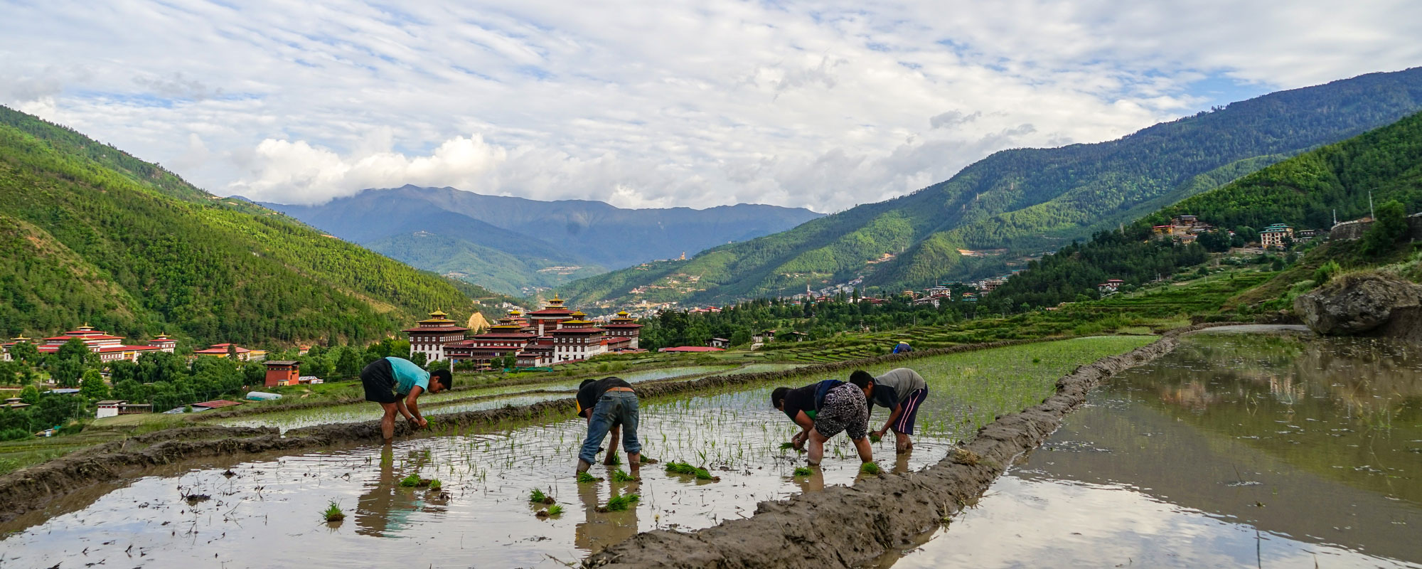 bhutan eco tour