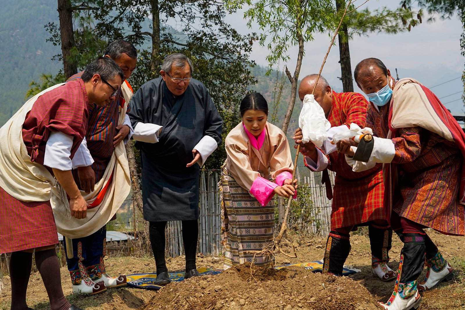 Million Tree Project Launched