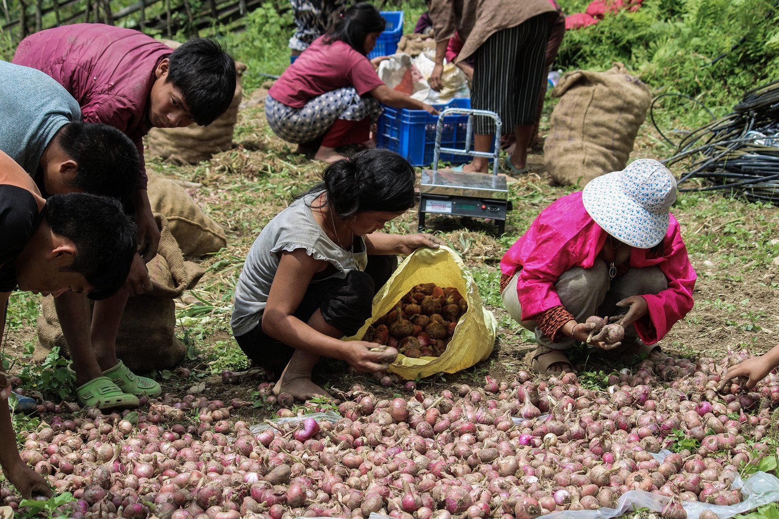 Food Security Through Enhanced Local Partnerships