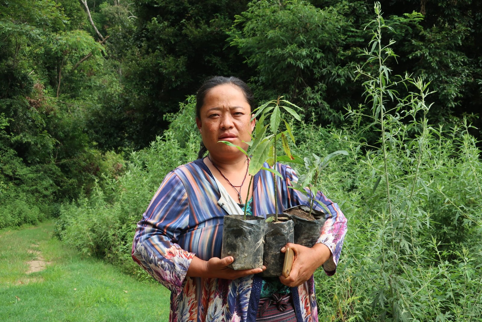 Million Tree Program to Help Bhutan Maintain Carbon Negative Status