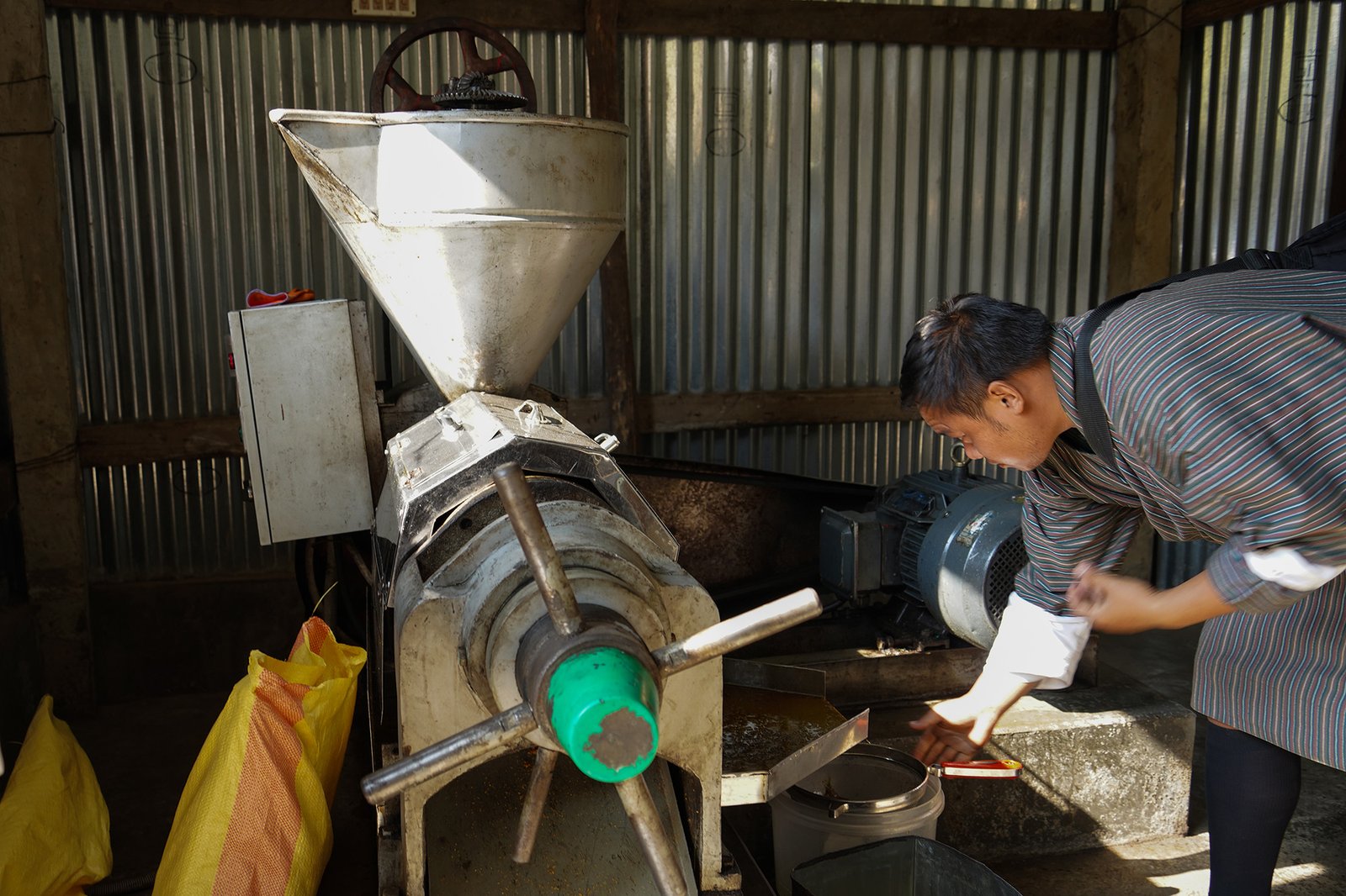 The Samdrup Jongkhar Initiative Revives Mustard Cultivation in Dewathang