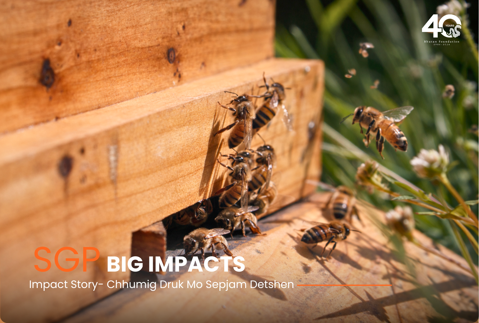 The Future of Beekeeping in Rural Bhutan