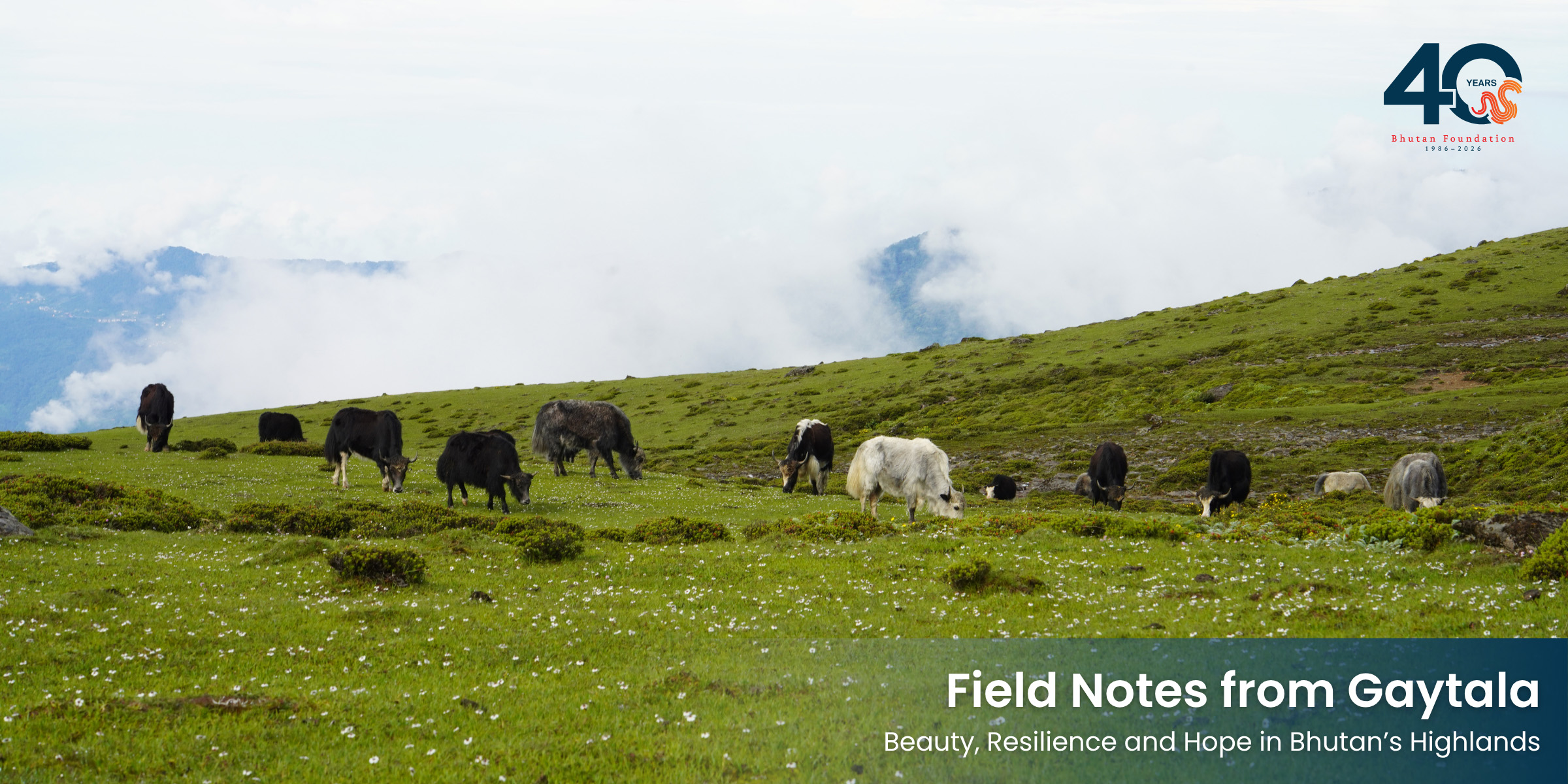 Field Notes from Gaytala